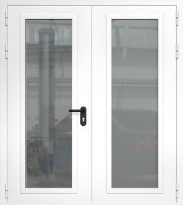 Двупольная дверь ДМП-2(О) EIW 60