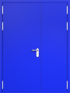 Полуторная глухая дверь ДС-2 с маятниковыми петлями (ручки «хром»)