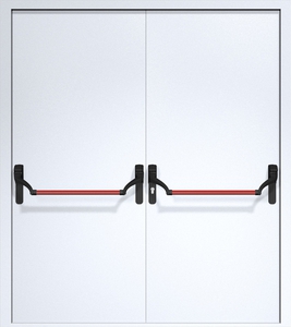 Двупольная дверь ДМП-2 Антипаника с рисунком