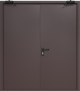 Двупольная дверь ДМП-2 с рисунком и доводчиками