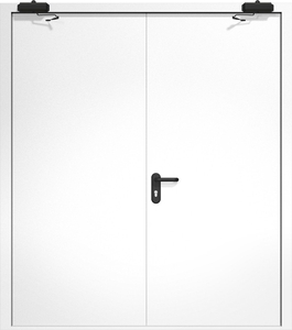 Двупольная дверь ДМП-2 с рисунком и доводчиками