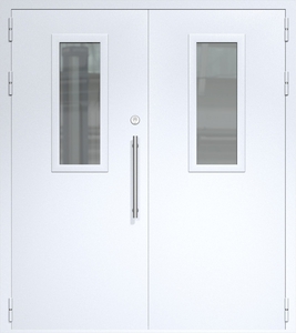 Двупольная дверь ДС-2(О) со стеклопакетами (700х300) и офисной ручкой