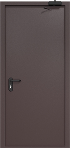 Однопольная дверь ДМП-1 с рисунком и доводчиком