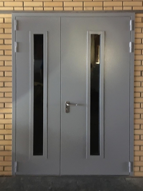 Двустворчатая дверь со стеклами (ул. Ибрагимова, 31, бизнес-центр «РТС»)