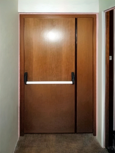 МДФ дверь с ручкой Антипаника (консульство, ул. Гончарная, 14)