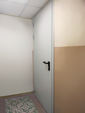 Однопольная дверь в офис