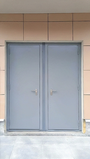 Однопольные двери