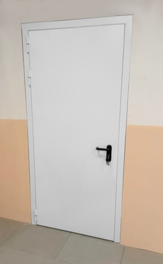 Одностворчатая дверь (школа № 1554, ул. Пестеля, 8г)
