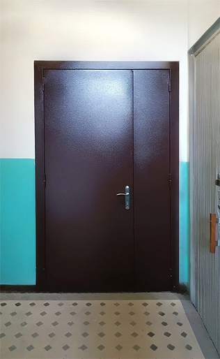 Порошковая стальная дверь