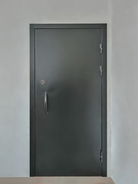 Техническая дверь с ручкой-скобой