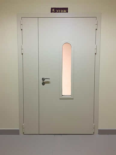 Техническая дверь со стеклом (г. Зеленоград, «Центр Развития»)