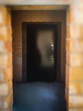 Железная дверь с порошковой отделкой